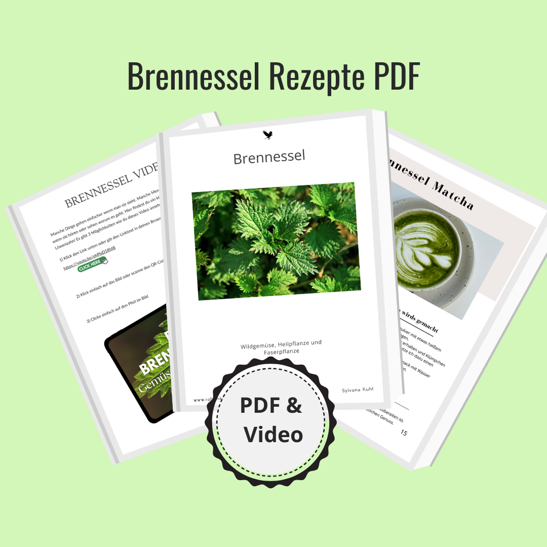 Brennessel Rezepte kaufen