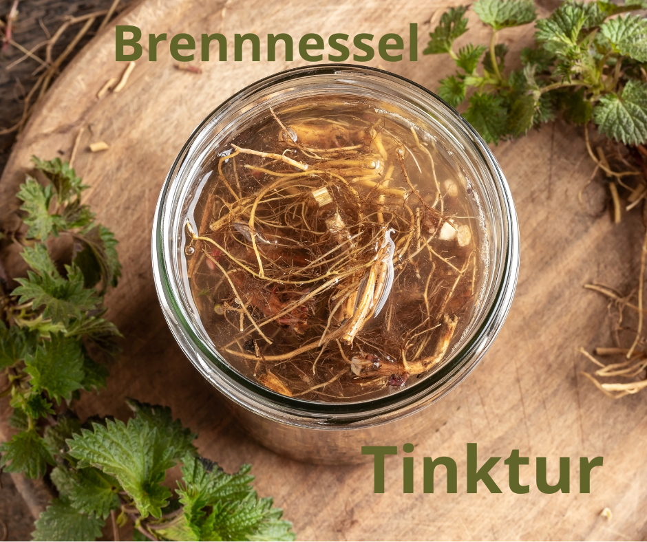 Brennessel Tinktur