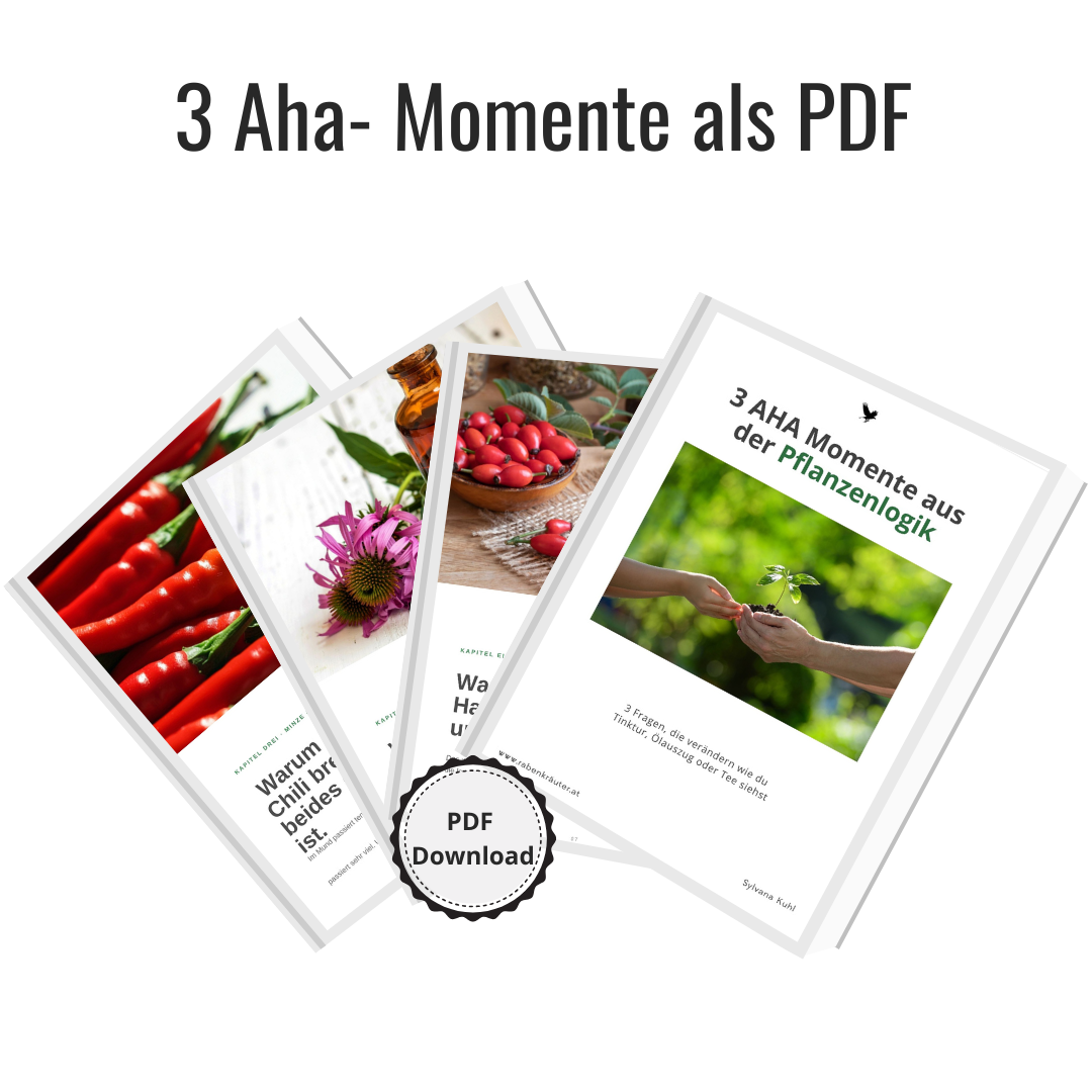 3 Aha-Momente aus der Pflanzenlogik – kostenloses PDF zum Download