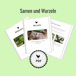 PDF Samen und Wurzeln